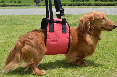改良版 犬用 介護ハーネス